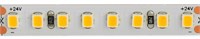 Strip led 2835 IP20 12W/mt 24V 5000K