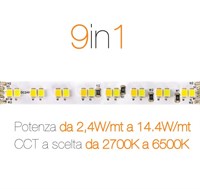 Strip LED 140LED/mt 9in1 IP20 14,4W/mt multi power 24V CCT 2700K>6500K multi CCT