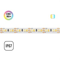 Strip led 2835 IP67 14W/mt (a colore) 24V CCT 2700K-6000K 10 metri freecut