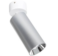 Applique spot da soffitto in alluminio bianco/argento orientabile 30W cct selezionabile 2700k-4000k-