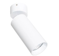 Applique spot da soffitto in alluminio bianco orientabile 30W cct selezionabile 2700k-4000k-6000k