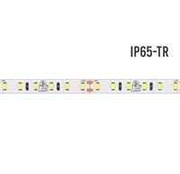 Strip led 2835 IP65-TR 9,6W/MT 960LM/MT 24V 2700K