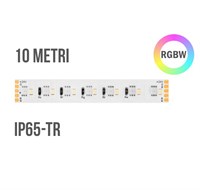 Strip led 2216+2835 IP65-TR 19,2W/mt 24V RGB+3000K 224LED/mt cri90 10 metri