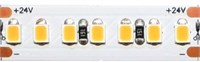 Strip led 3528 IP20 9,6W/MT 24V 6000K 1000LM/MT CRI>95