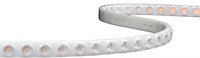 FLEX NEON CON LENTI WALLWASHER 20°x45° IP67 CCT VARIABILE 2700K>6500K 24W/mt 24V
